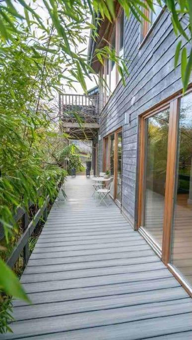 Beautiful Garden Apartment With Private Patio And Garden View ดับลิน ภายนอก รูปภาพ